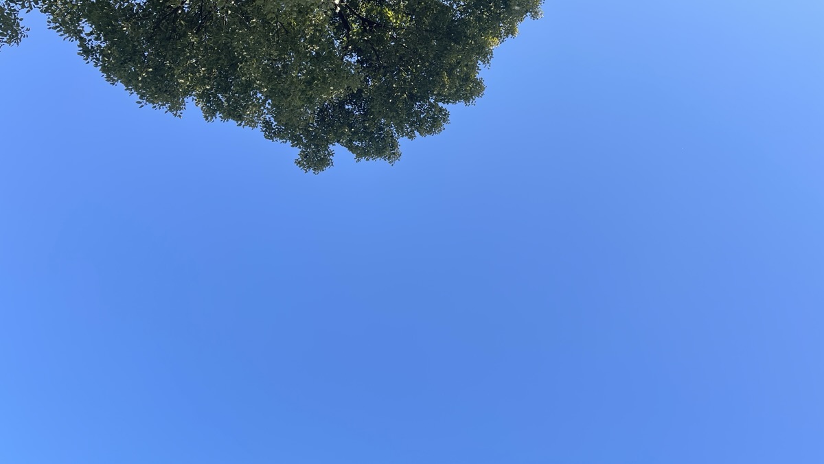 感觉找不到入口 - 第1张